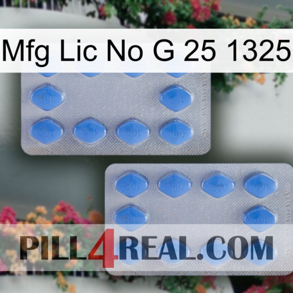 Mfg Lic No G 25 1325 20.jpg